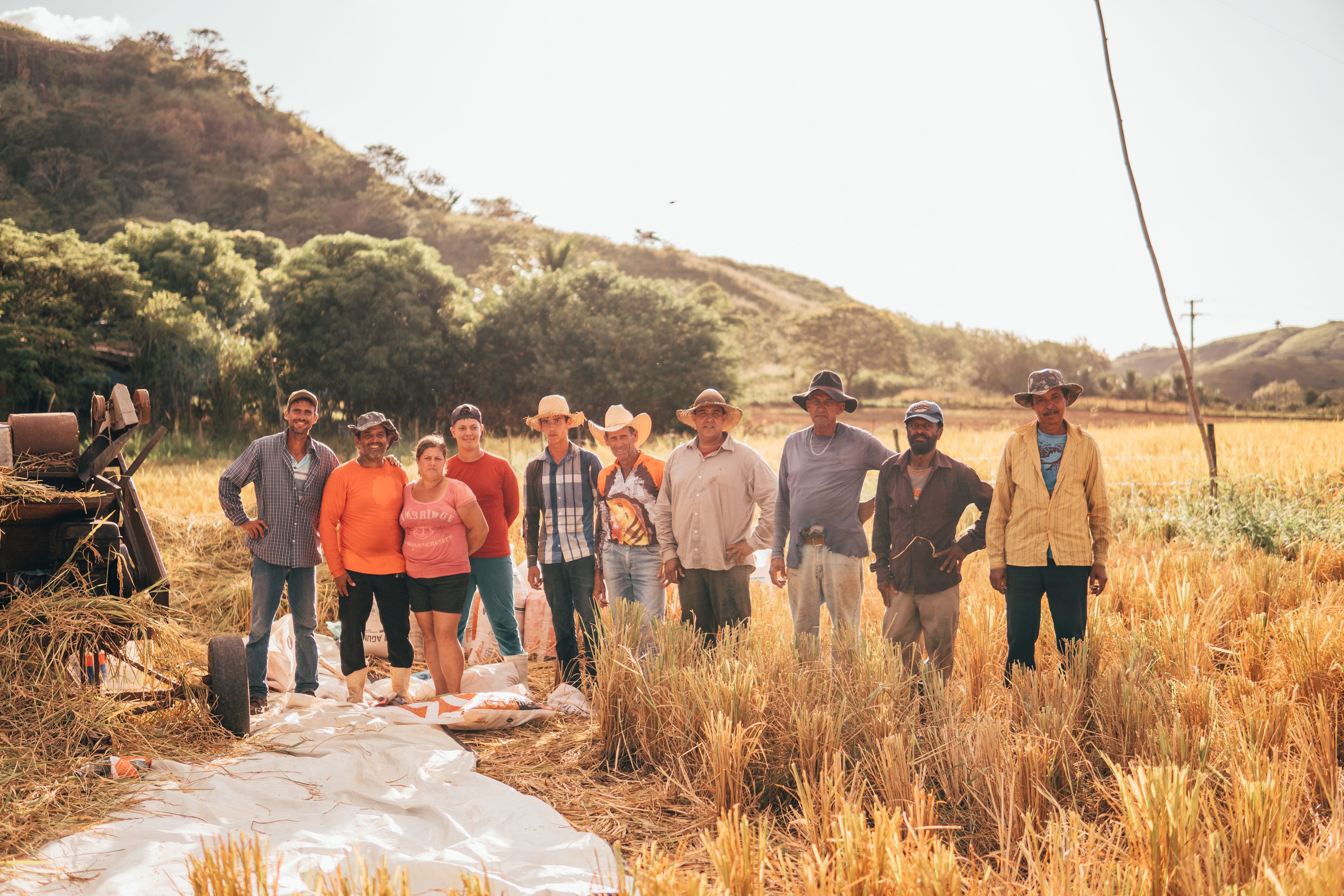 Our farm team